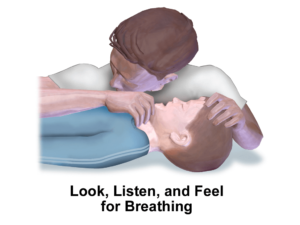 심폐소생술-호흡확인(보고 듣고 느끼기)