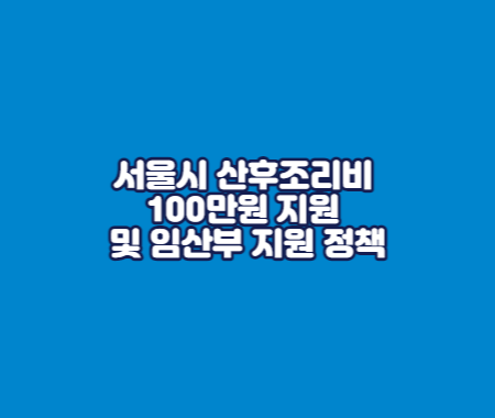 서울시 산후조리비 100만원 지원 및 임산부 지원 정책